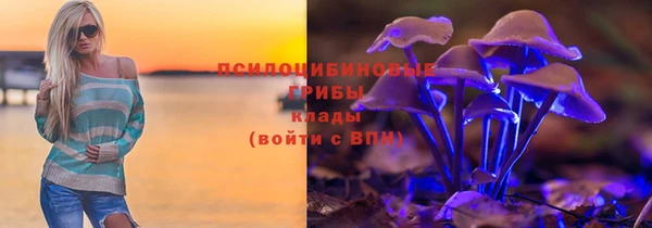 МДПВ Алексеевка