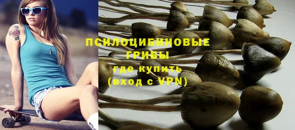 МДПВ Алексеевка