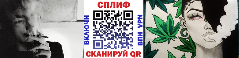 omg ССЫЛКА  Дмитриев  Бошки марихуана сатива 